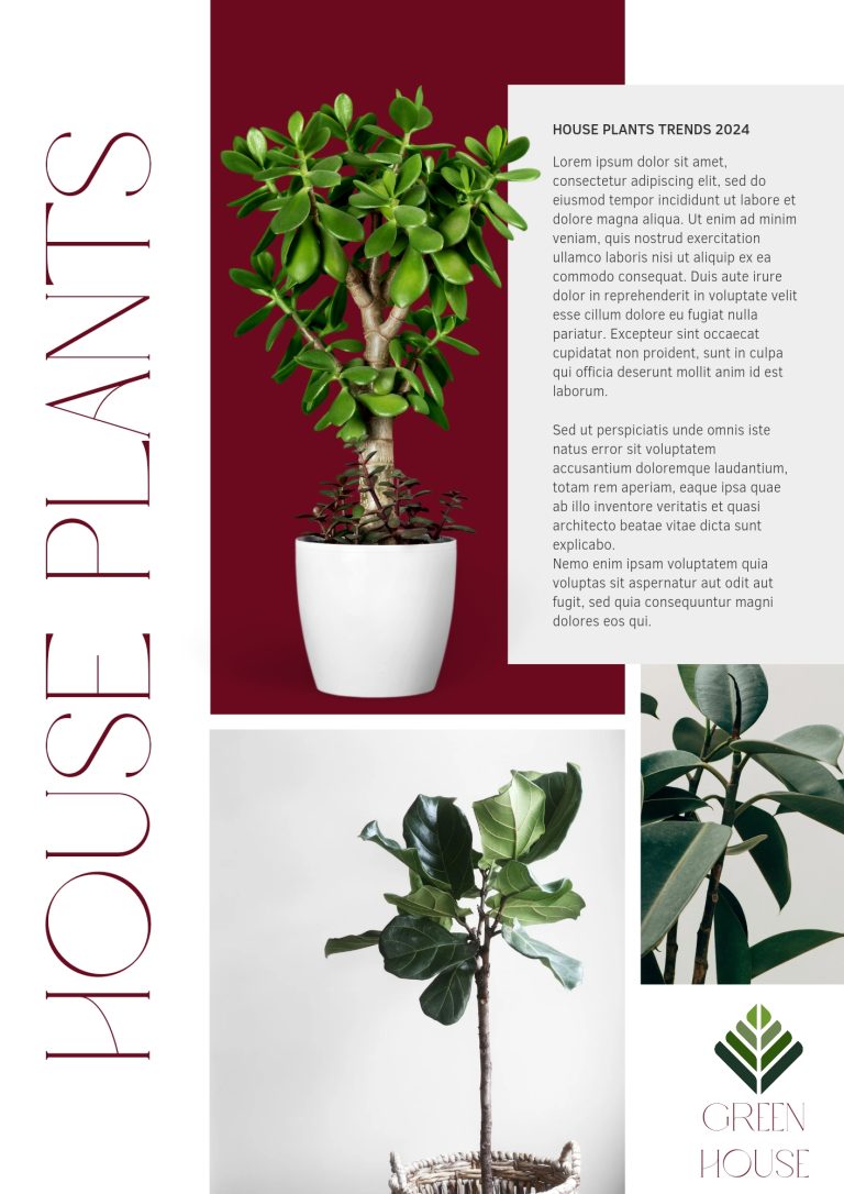 House plants magazine page graphic design by Anne Pakkanen